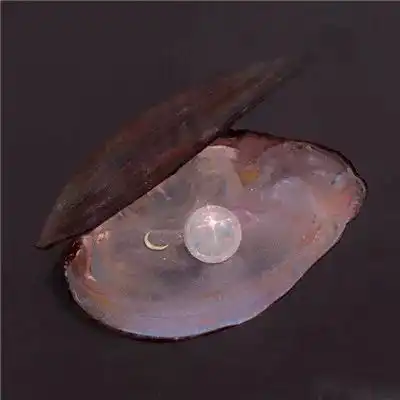 2023最新简约简单风景头像