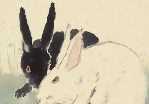 这3大生肖女,多情多桃花,一辈子被人追到老