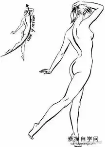 男女人体动态结构比例图学素描速写临摹图