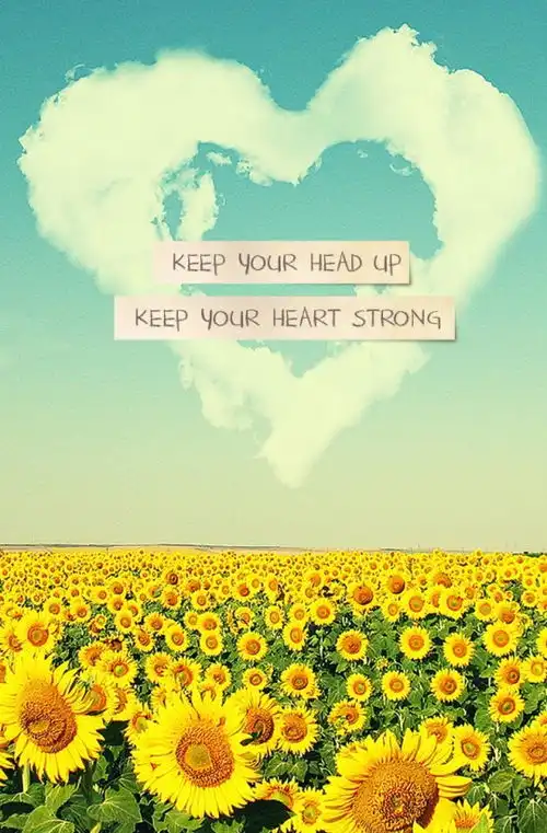 星空物语花花草草碧海蓝天风景文字插堆糖,美好生活研究所