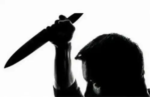 上门女婿杀死岳母重伤妻子,什么事逼得一个白领如此丧心病狂