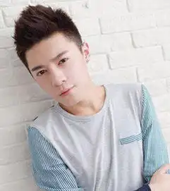 男生好看的短发发型