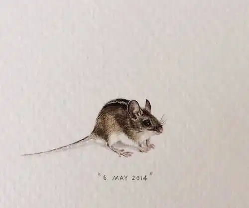 朋友圈很精辟的哲理语录,句句经典,大彻大悟