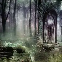 高清头像图片意境森林微信头像图片大全