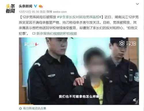 12岁男生弑母法律手段不能成为摆设