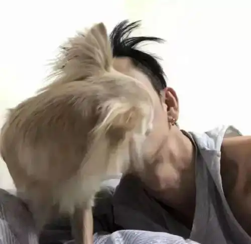 男生头像我的热情也就那么多你磨完了也就完了