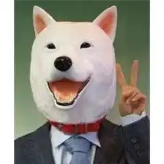 潢川这个驾校太有诚意了情人节了,提前给大家拜个狗年.......
