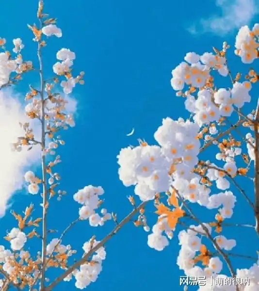 亲戚这样对你的,就是嫉妒你家过得好