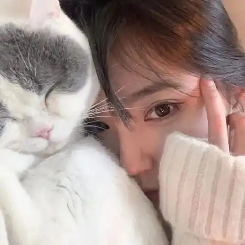 头像抱猫女头