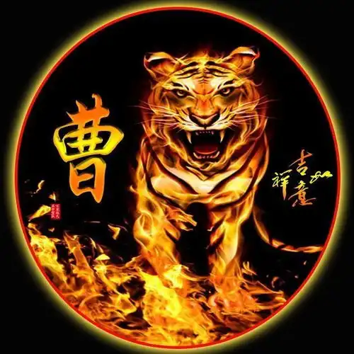 想要霸气的微信头像20张威猛霸气老虎姓氏头像,有你的吗