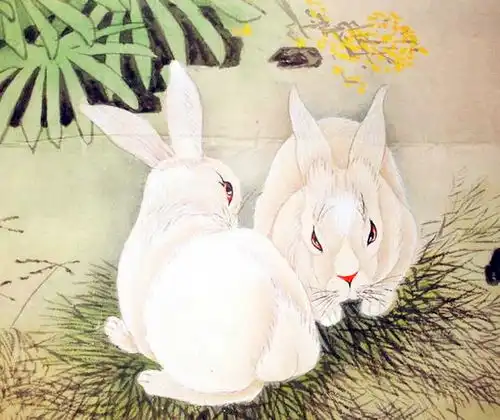 娶这3属相女人为妻,不会穷得被人追债,钱途一片光明