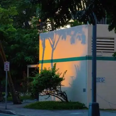 把心跳交给脸红你交给我.