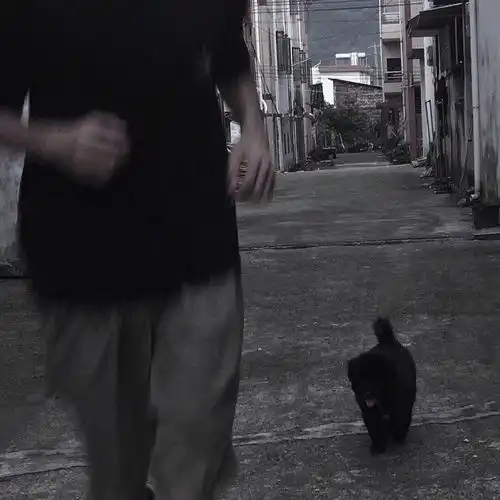 头像丨你只会越来越好