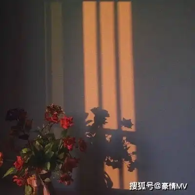 比较丧的风景头像带字伤感的头像图片男女生