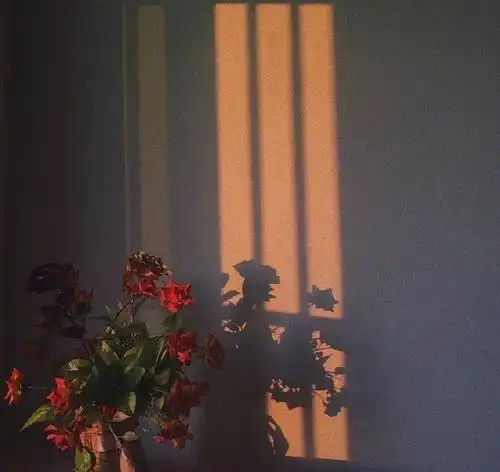 积极治愈的温柔文案