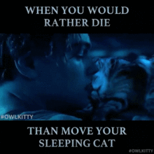 男子脑洞大开,将爱猫编进好莱坞电影里,竟意想不到的搞笑