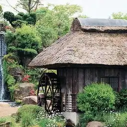 北京客厅隔断布帘用啥颜色