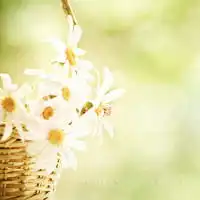 温馨爱精美头像