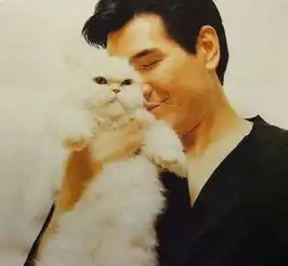 从家有污猫的鹿晗说开去,娱乐圈被演艺事业耽误的铲屎男神们