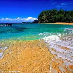 北戴河戴小河彩虹客栈图片北戴河戴小河彩虹客栈真实图片相册