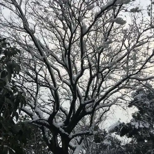 南岳山森林公园门票,南岳山森林公园游玩攻略360地图