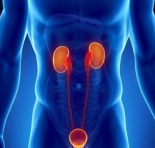 男人睡前有两个动作,搞定它肾脏更健康