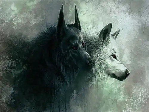 狼道中10句经典语录,每一句都向你阐述狼的生存法则