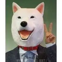 搞笑狗子头像大全微信头像图片大全