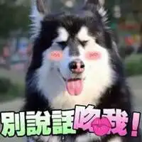 阿拉斯加幼犬表情包微信头像图片大全