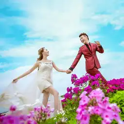 小清新花海系列