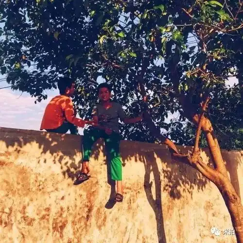 搬砖少年的b面人生,苹果都想征用他的照片