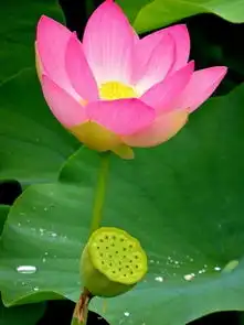 人生感悟励志经典句子,句句触动人心,值得一读