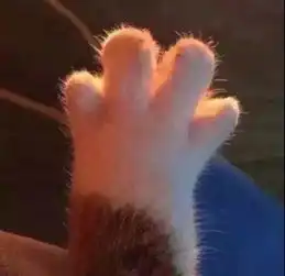 超可爱情头我的心思很好猜,除了你就是发大财