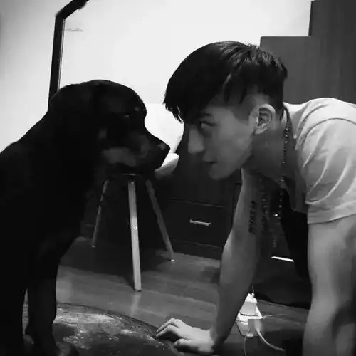 一批个性微信头像