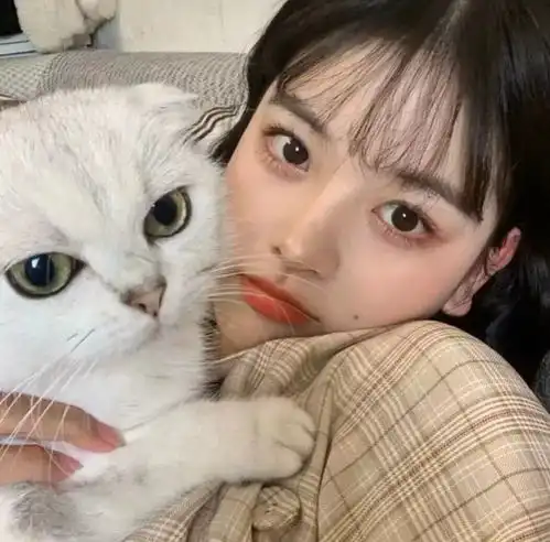 美少女头像,猫控报道,你是喵喵女神吗