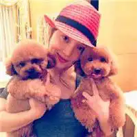 男人抱狗头像微信头像图片大全