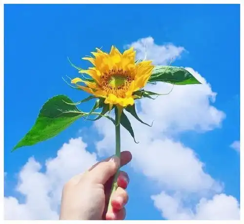 被反复摘抄的100条名言警句