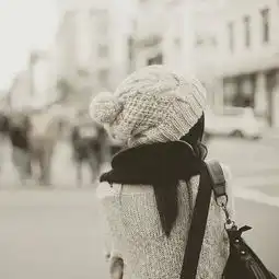 求这种类型的素材图