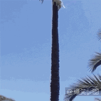 妹子,你的男朋友掉了,不信你看