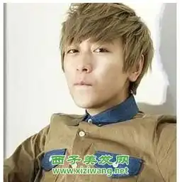 秋冬男发型设计图片