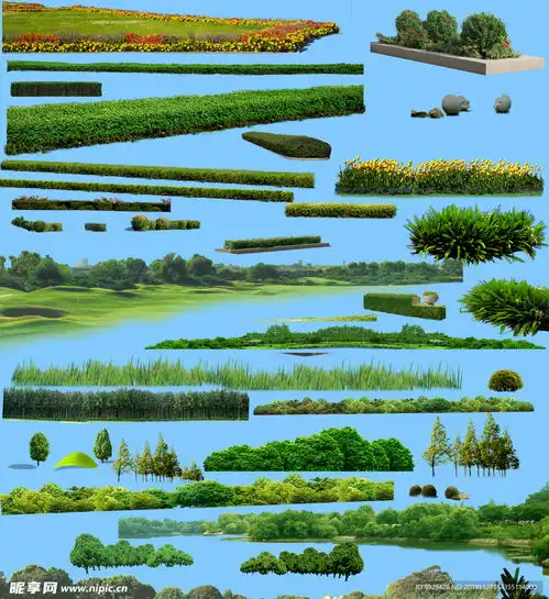 园林景观花草合集路沿花草设计图