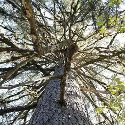 2024大亮子河国家森林公园门票,汤原大亮子河国家森林公园游玩攻略,大亮子河国家森林公园游览攻略路线地址门票价格