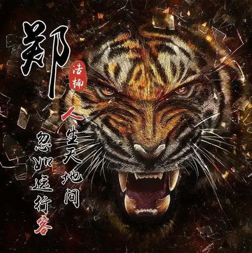 高逼格励志头像,人生天地间忽如远行客
