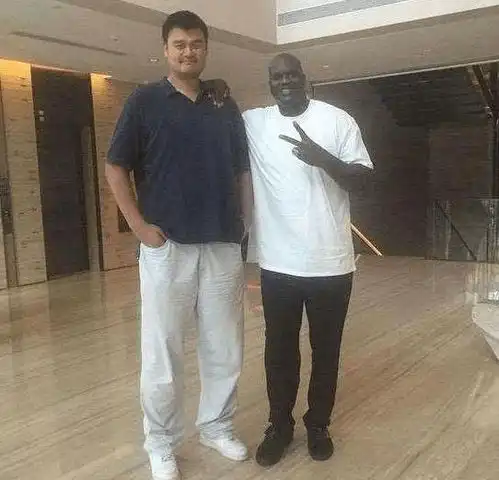 在姚明面前肌肉男都是弟弟华莱士被防成艾弗森奥胖显娇小