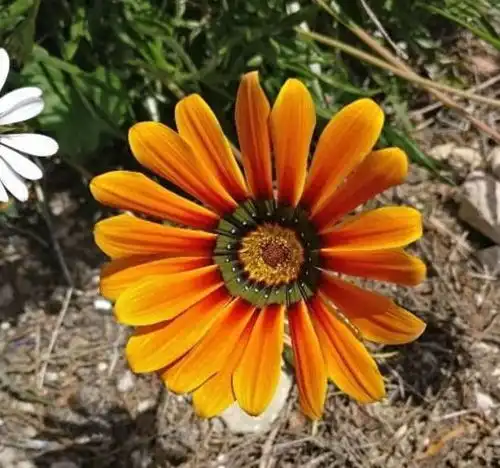 女人是不是给你戴绿帽子男人只要查这三个地方,真相立马揭晓