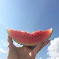 欧美西瓜头像微信头像图片大全