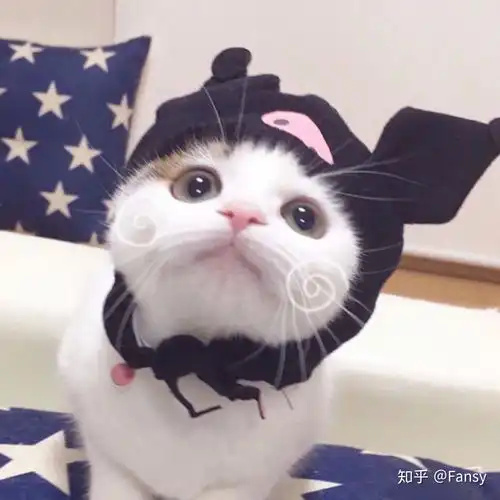 求猫和兔子的情侣头像