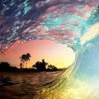 微信头花草树木微信头像图片大全