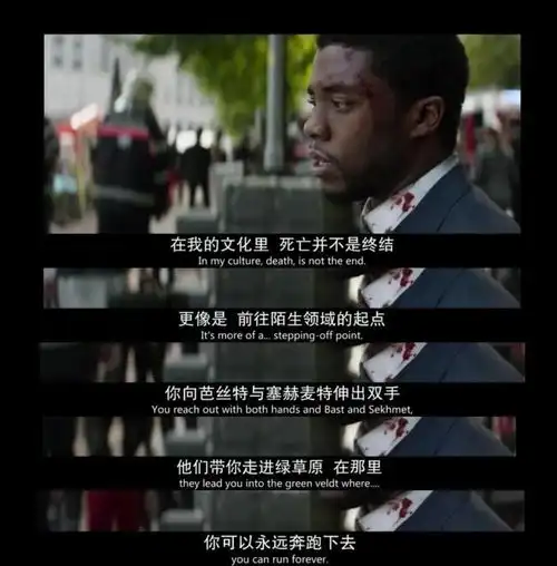 e句话看天下丨黑豹男主一定是回瓦坎达当国王了