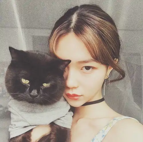 女生抱宠丨被爱的人永远不知道,爱你的人有多么辛苦